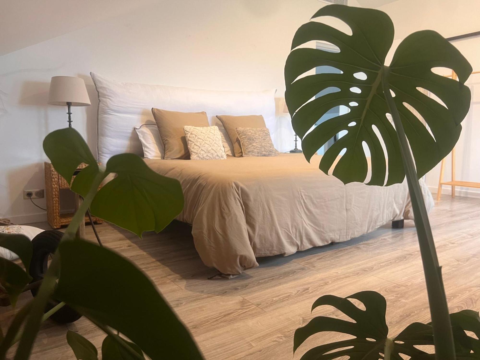 Bed and Breakfast Au Pre De Karine Cuneges Екстер'єр фото