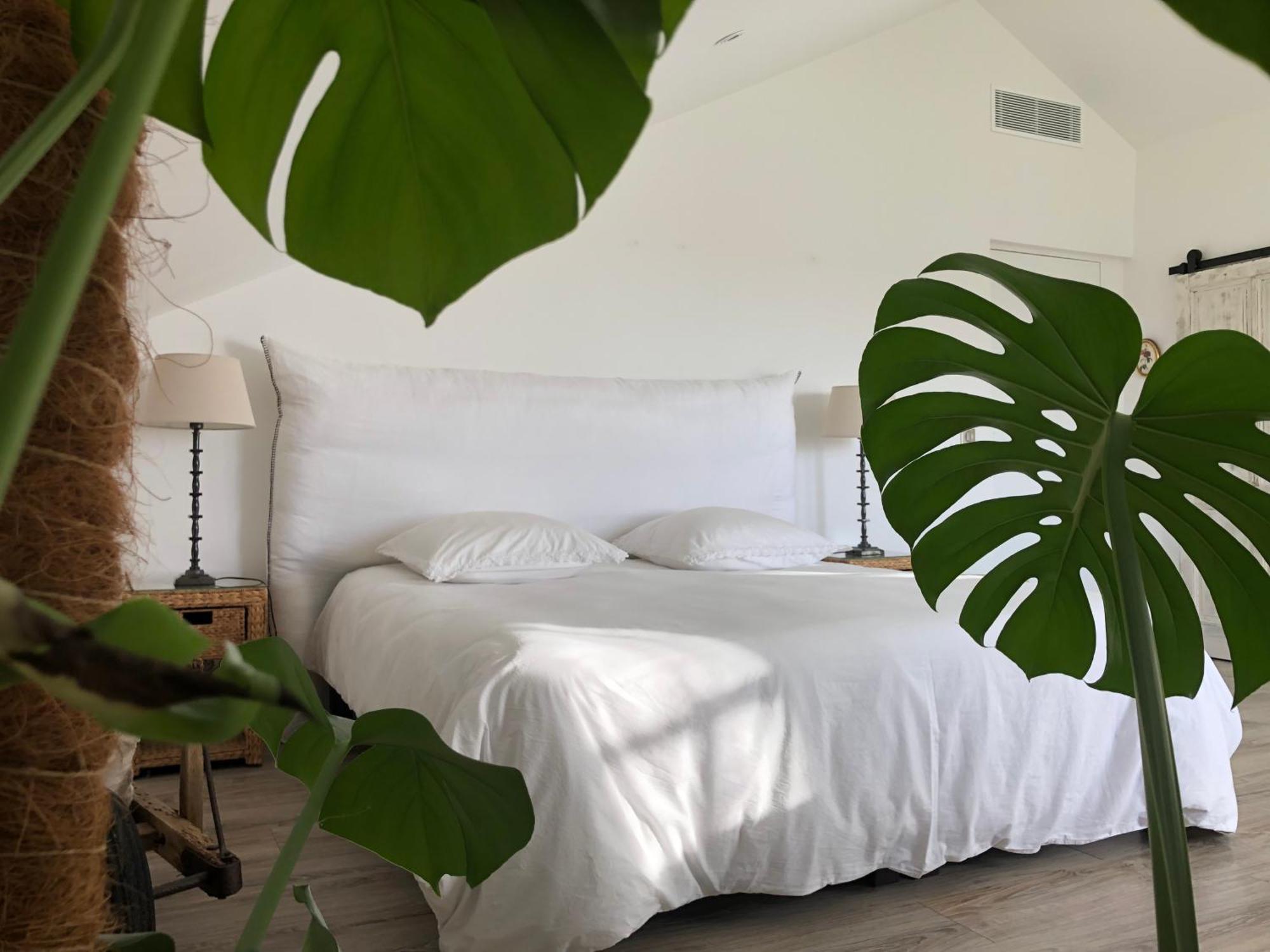 Bed and Breakfast Au Pre De Karine Cuneges Екстер'єр фото